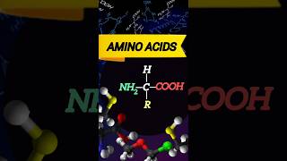 Biomolecules  Amino acids  NEET  Class 11  ncert [upl. by Annmarie]