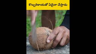 Ethadu coconut ni ala cheysadu telugu facts amazingfacts [upl. by Retep]