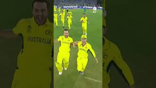 That CWC23 winning feeling 🤩🇦🇺 YTShorts CricketShorts [upl. by Yralam]