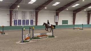 Winning Open equitation IEA Trip [upl. by Lelah]