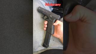 Glock 17 Gen 3 with 48 rounds of P 9mm hardcast vs a Grizzly Bear [upl. by Tterag]