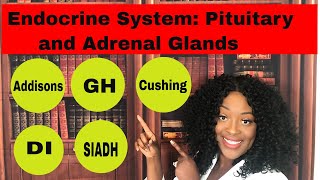 Endocrine System Adrenal and Pituitary Glands [upl. by Akihsay215]