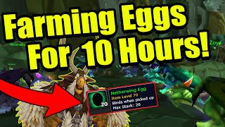 Farming Netherwing Reputation For 10 Hours  Classic WoW TBC [upl. by Kathleen]