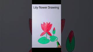 waterlily shortvideo flower drawingideas [upl. by Viglione]