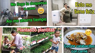 Esto me tiene feliz💪 Me trajeron la despensa hasta la casa🛍 Compramos plantitas🌱 [upl. by Eob]