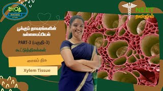 Anatomy of Flowering Plants  Part 3  Complex Tissue  Xylem Tissue  NEET Tamil [upl. by Eneluj603]