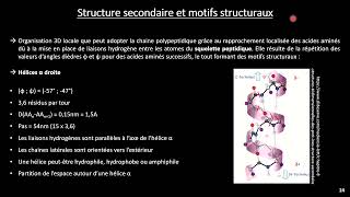 Biochimie 1  Structure des protéines 2 [upl. by Eul]