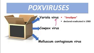 Poxvirus Smallpox Molluscum contagiosum [upl. by Shalom232]