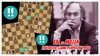 TAL vs MILLER  1988  A fantastic Game with mutual risk and the threat of checkmate [upl. by Norma]