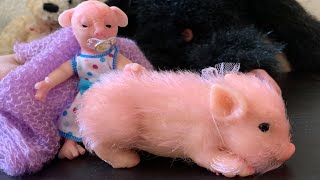 Daisy the human rat loves the silicone pig from Wish [upl. by Enyale298]