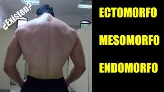 SOMATOTIPOS ¿En Verdad Existen Examinando al Endomorfo Mesomorfo y Ectomorfo PODCAST Ep3 [upl. by Arbmat646]