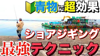 とにかくよく釣れるショアジギングのしゃくり方【実践講座】 [upl. by Anjela]