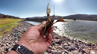 Fishing With Live Crawfish Everything You Need To Know [upl. by Melleta]