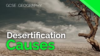 Causes of Desertification  AQA GCSE 91 Geography [upl. by Brita]