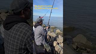 Walleye fishing in Manitoba Canada [upl. by Doralin]