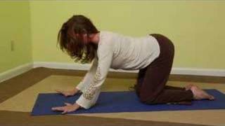 Yoga Exercises for Lower Back  Yoga UnCat amp Cow Poses for the Lower Back [upl. by Osei]