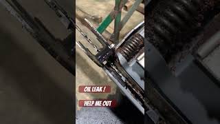 Chainsaw Has an Oil Leak chainsawrepair [upl. by Jerrylee]