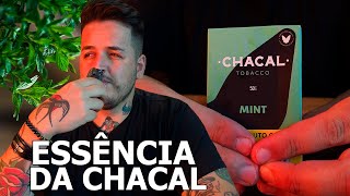 CHACAL MINT  ANALISANDO A LINHA DE ESSÊNCIAS DA MARCA [upl. by Pronty]