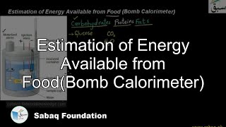 Estimation of Energy Available from FoodBomb Calorimeter Chemistry Lecture  Sabaqpk [upl. by Bronez31]