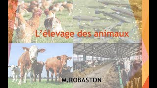 6ème Lélevage des animaux SVT [upl. by Sarkaria92]