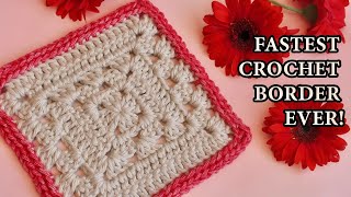 Fastest Crochet Border EVER Wrap Around Seam  ONE Round [upl. by Bekah386]