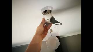 LED Downlight installation and replacement [upl. by Eedeed]