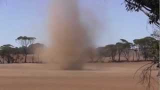 Australian Mini Tornado  Also Known as a Willy Willy or Dust Devil [upl. by Keisling]