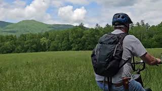 Cades Cove TN Bear Jam May 2024 [upl. by Katharyn]