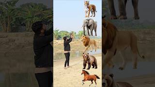 Wild Animals To Wild Animals Name Talking shorts mmmrazz funny comedy [upl. by Neff]