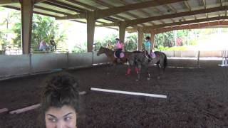 Musical Stalls  Horseback Riding Games [upl. by Geis]