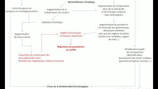 Bac SVT  Schéma sur les conséquences du réchauffement climatique [upl. by Shalne]