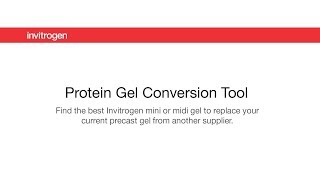 How to use the Invitrogen protein gel conversion tool [upl. by Cerf933]