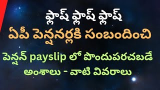 ఏపీ పెన్షనర్లకి సంబందించిన పెన్షన్ Payslip లో పొందుపరచబడే అంశాలు  వాటి వివరాలు [upl. by Sammer]