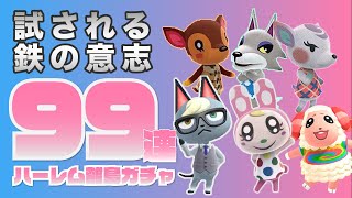 【離島ガチャ】可愛い住人引きすぎて心折れた【あつ森住人厳選】 [upl. by Htinnek]