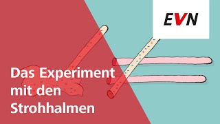 Experiment mit Strohhalmen  EVN Forscherwelt [upl. by Acinomad]