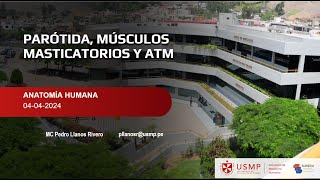 NEUROANATOMÍAS6GLÁNDULA PAROTIDA MÚSCULOS DE LA MASTICACIÓN Y ATM [upl. by Deuno526]