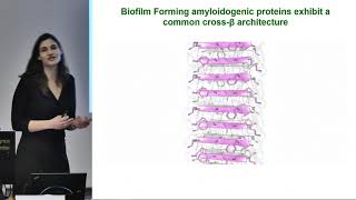 Structural Biology  D1S2 521 Protein Fibrils in Infectious and Aggregation  Meytal Landau [upl. by Mcconnell]