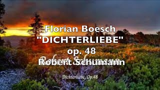 Florian Boesch quotDICHTERLIEBEquot op 48 Robert Schumann [upl. by Nirtiak]