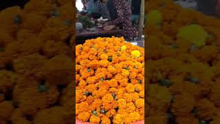 Nanded Flower Market Hingoli Gate nanded maharashtra india [upl. by Amaryllis]