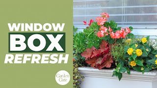 Before amp After LateSummer Windowbox Makeover  Windowbox Planting Tips [upl. by Ethbinium]