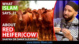 What ISLAM Says About RED HEIFER COW  Shaykh Omar Suleiman [upl. by Pontias]