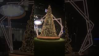 Xmas Tree at City Square Mall [upl. by Sudnac278]