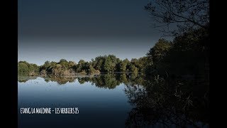 Etang la Malonne  Pêche de la carpe vendée HD [upl. by Banky]