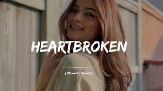 Naseebo lal New song  HEARTBROKEN  slow reverb [upl. by Africah]