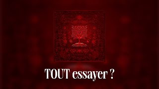 Dadju amp Tayc  TOUT essayer  Lyrics video [upl. by Ahsac]