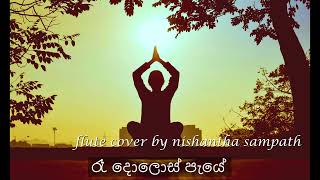 Ra Dolos Paye රෑ දොළොස් පැයේ flute cover by nishantha sampath [upl. by Enyawad116]