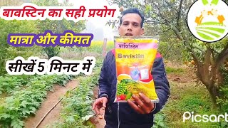 Bavistin fungiside uses। फैंगिसाइड का प्रयोग कैसे करें। फैंजिसाइड की सही मात्रा की जानकारी । [upl. by Remlap]