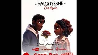 Elis Again WAONYESHE lyrics [upl. by Shelia]