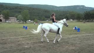 Mini CSO fête du cheval de Bargemon [upl. by Eleahcim]