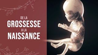 De la grossesse à la naissance dun miracle [upl. by Ajax]